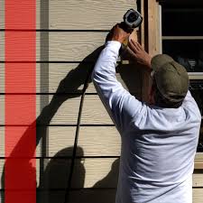 Best Vinyl Siding Installation  in Brownlee Park, MI